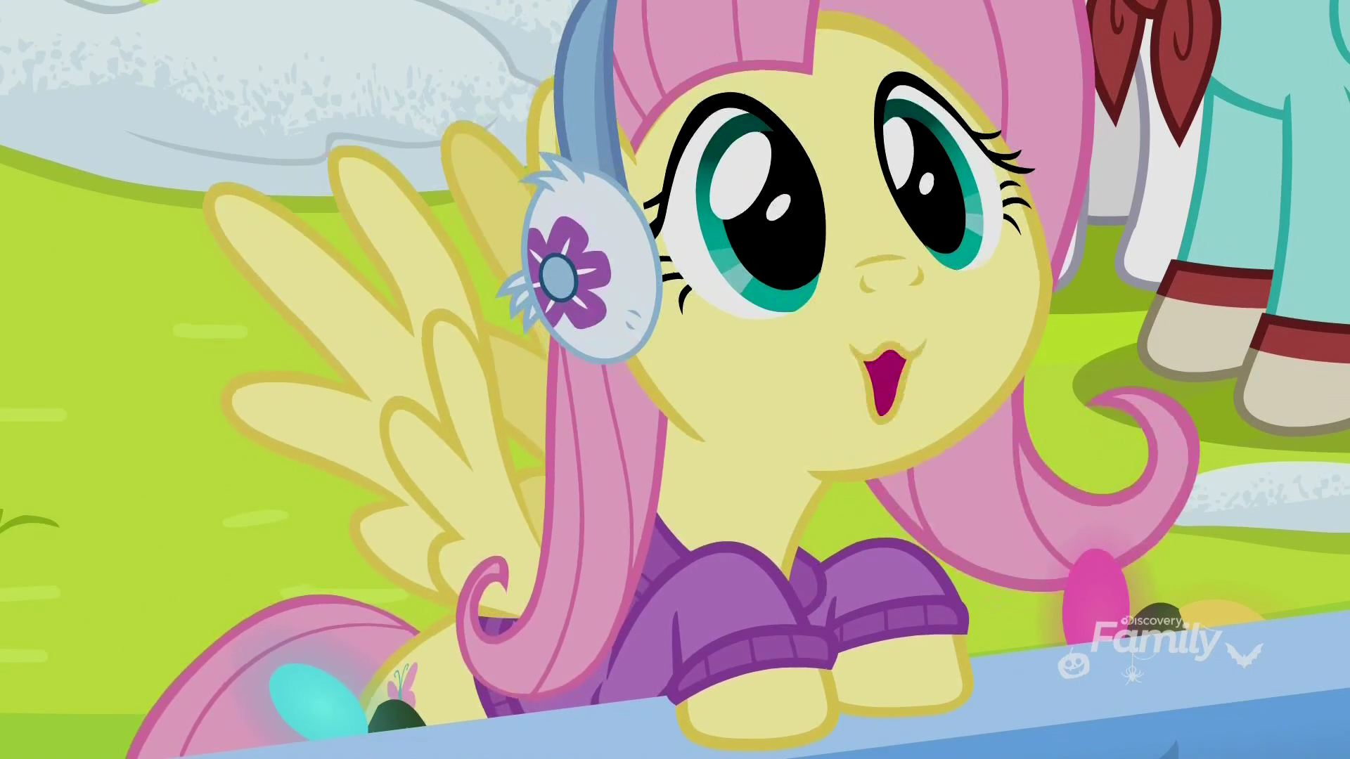 Flutter ooo