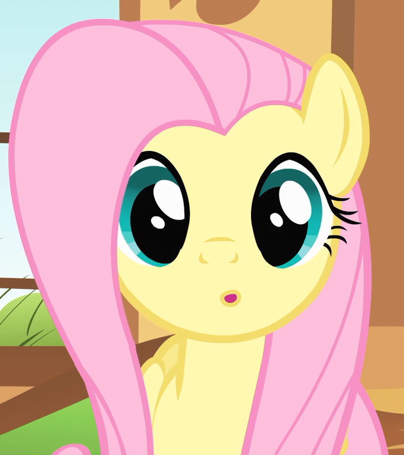 Fluttershy ooo